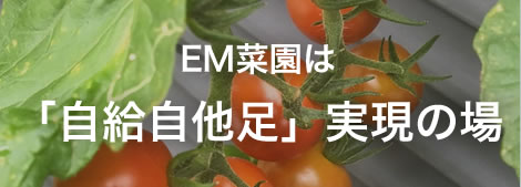 EM菜園は「自給自他足」実現の場