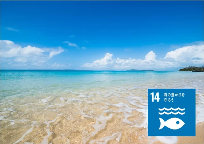 【沖縄】海からのメッセージ 環境を学び、海を楽しむ沖縄3日間